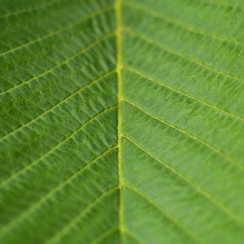 Photo #10330959