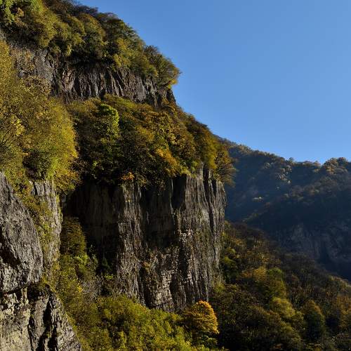 Photo #10331078