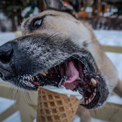 Photo #10331208