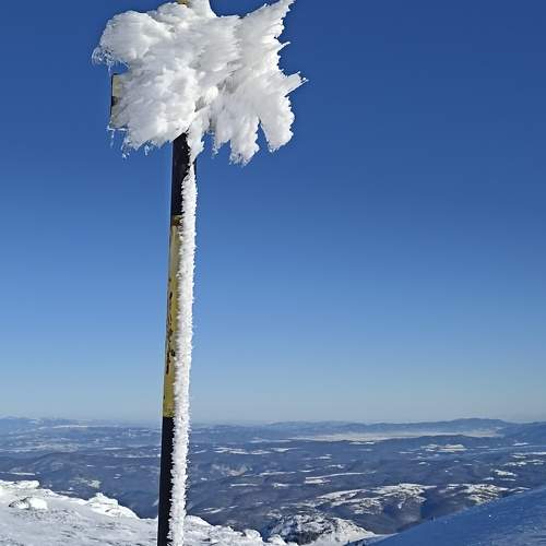 Photo #10331414