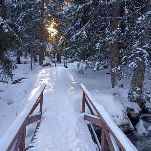 Photo #10331417