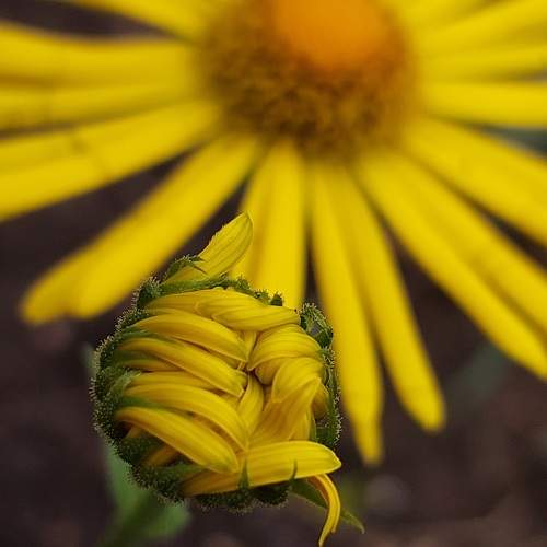 Photo #10331793