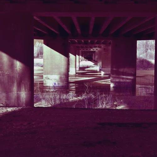 Photo #10331840
