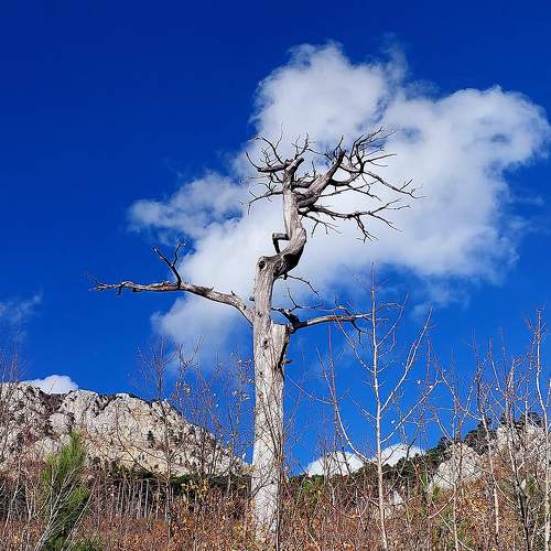 Photo #10331859
