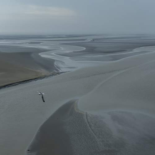 Photo #10331866