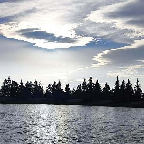 Photo #10332079