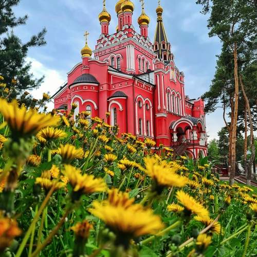 Photo #10332379