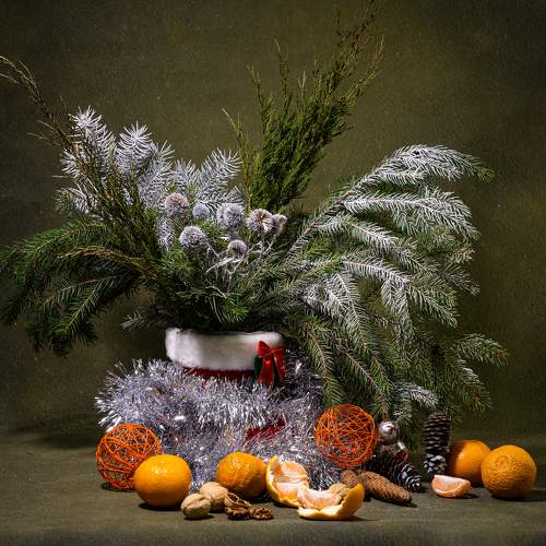 Фотография #10332419