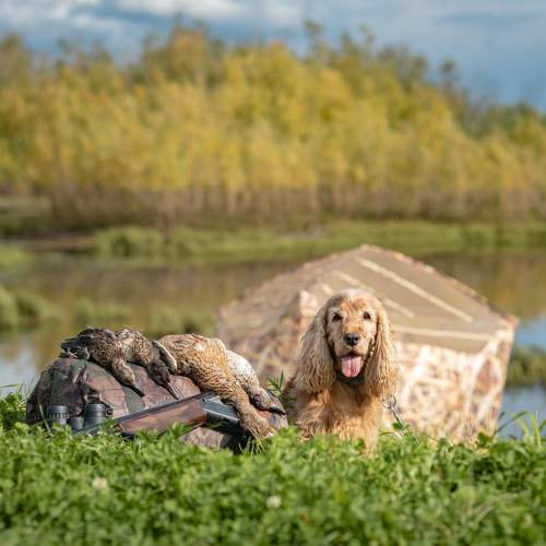 Photo #10332545