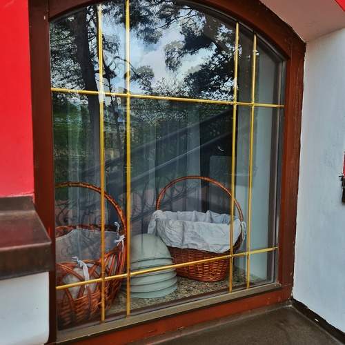 Photo #10332617
