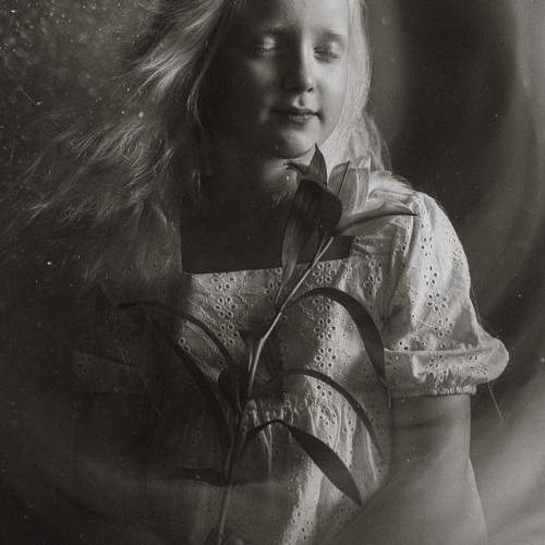 Photo #10333451