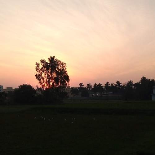 Photo #10333582