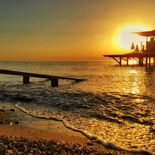 Photo #10333990
