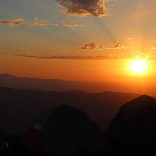 Photo #10334085