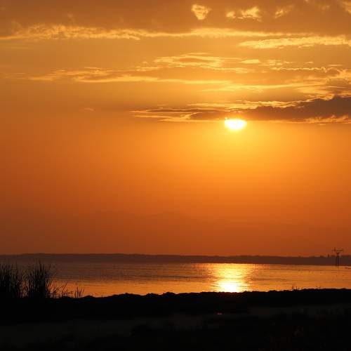 Photo #10334086
