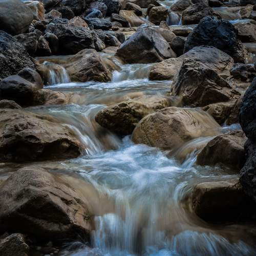 Photo #10334382