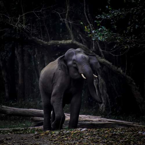 Photo #10334443