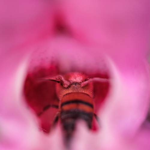 Photo #10334555