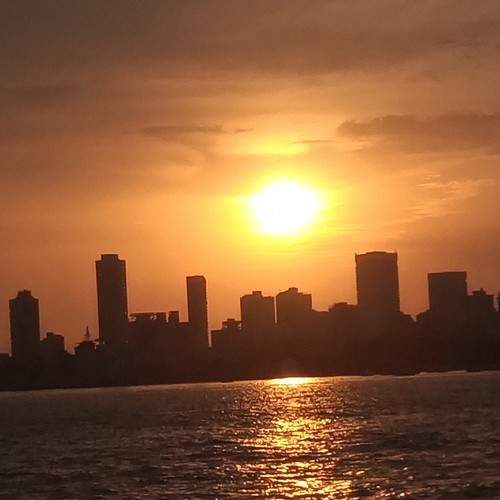 Photo #10334762