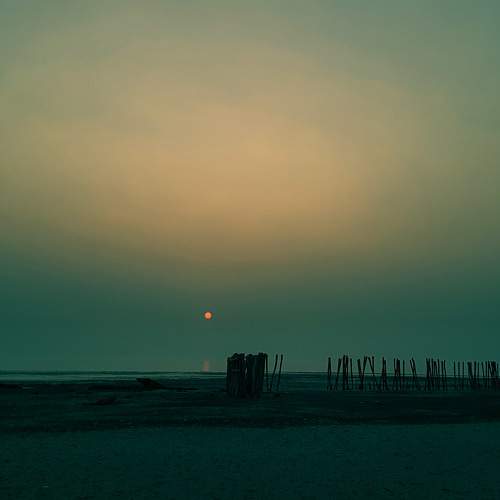 Photo #10335299
