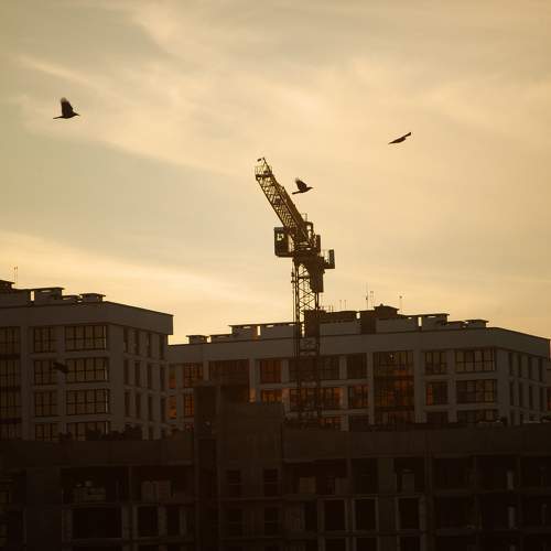 Photo #10335398