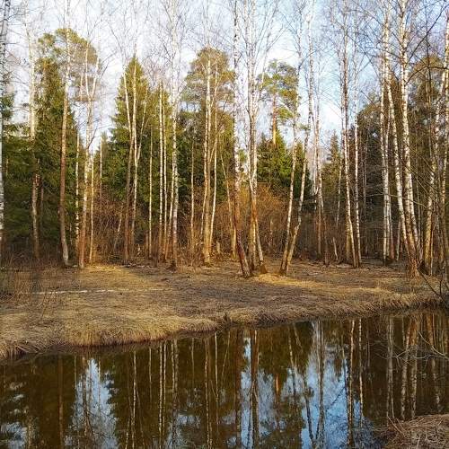 Photo #10335537