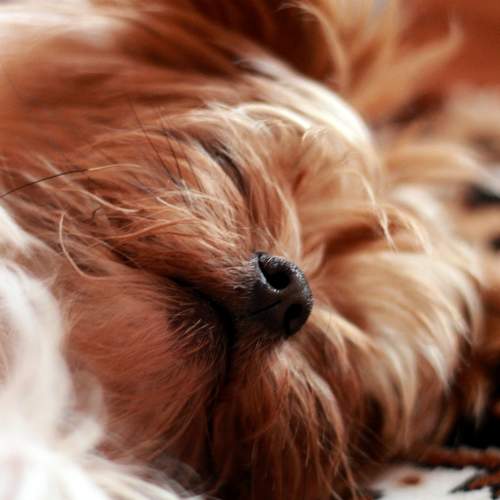 Photo #10335563