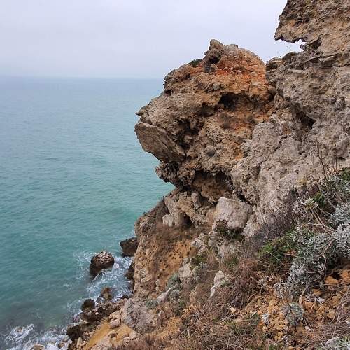 Photo #10335770