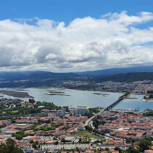 Photo #10335855