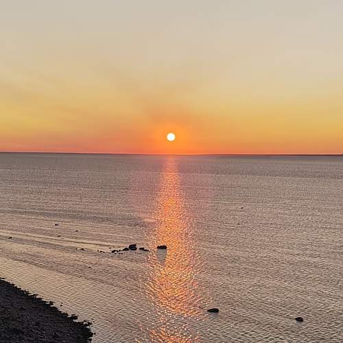 Photo #10336011