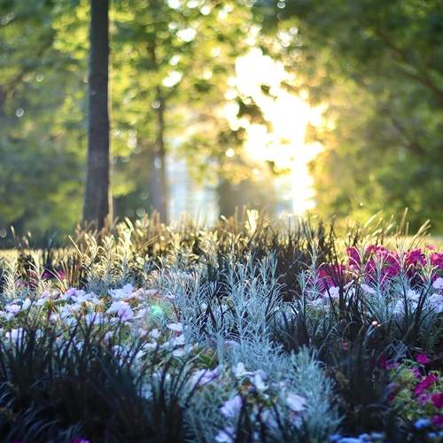 Photo #10336219