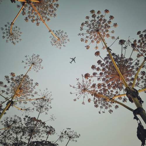 Photo #10337094