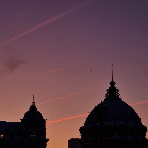 Photo #10337670