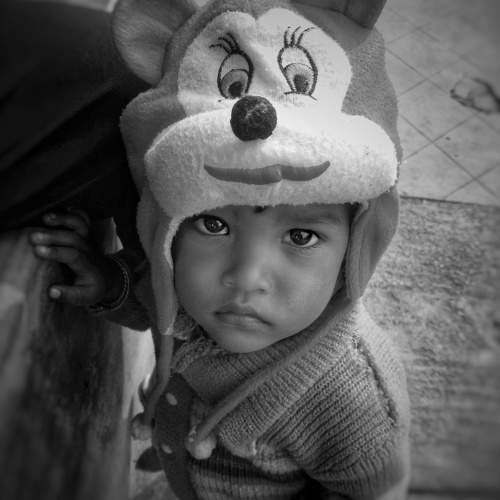 Photo #10337884