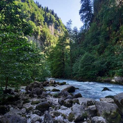 Photo #10338124