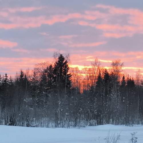 Photo #10338212