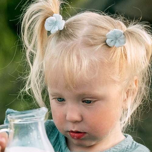 Photo #10338263