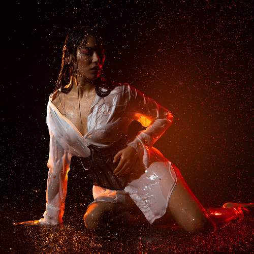 Photo #10338768