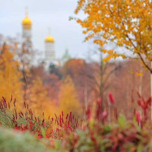Осень в Зарядье