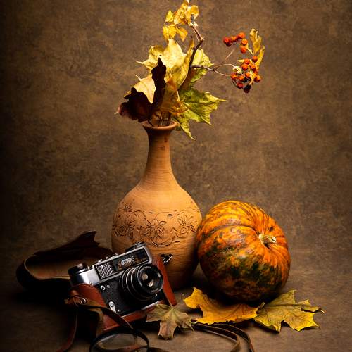 Фотография #10339147