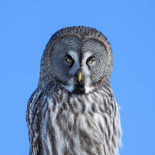 Photo #10339169