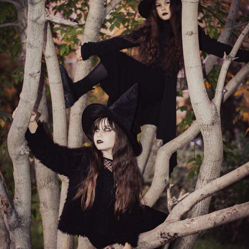 Photo #10339511