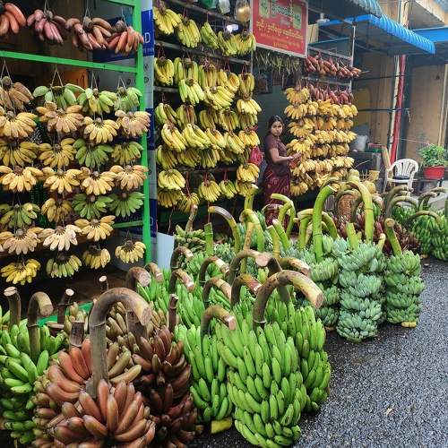 Photo #10339722