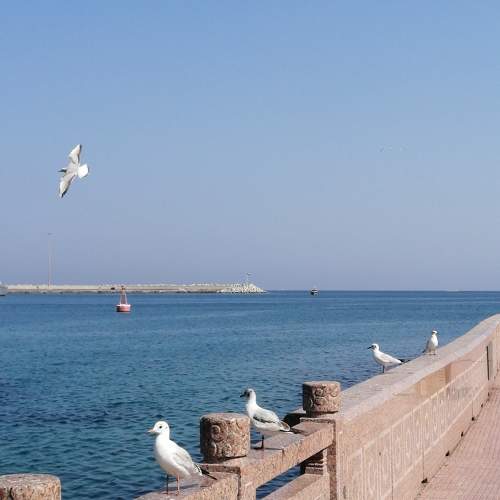Photo #10340026