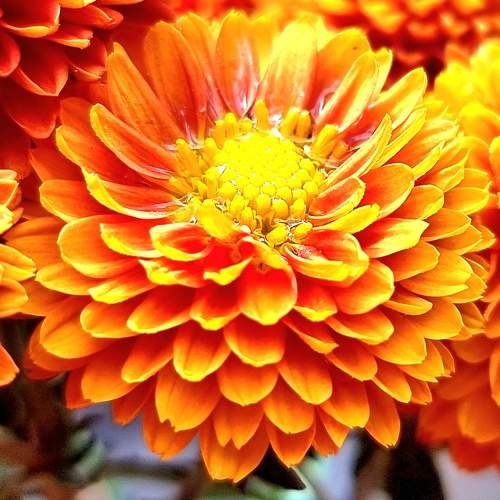 Photo #10340078