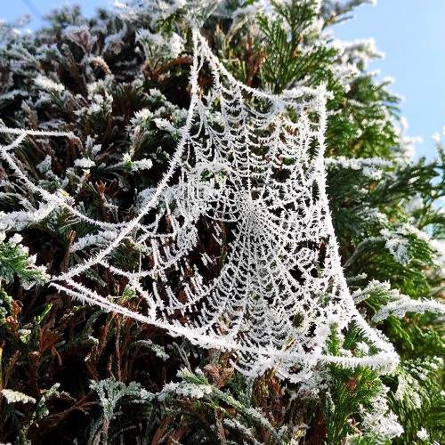 Photo #10340186