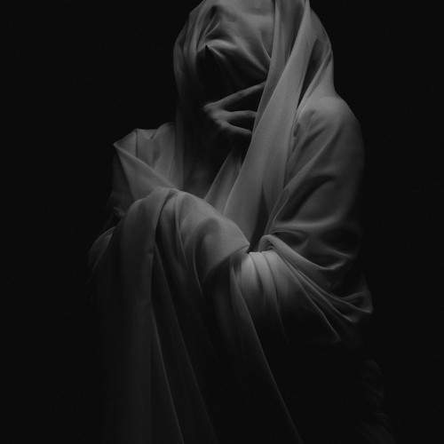 Photo #10340642