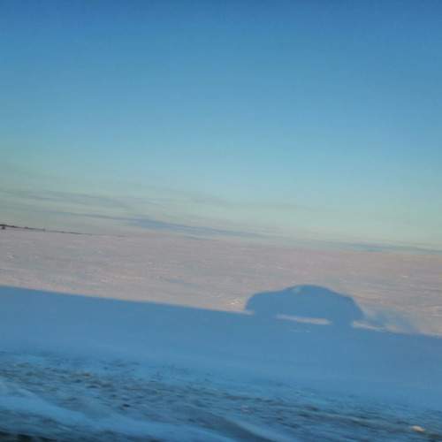 Photo #10340788