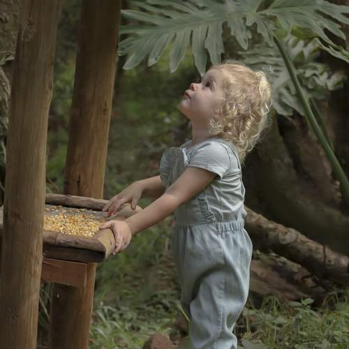 Photo #10341001