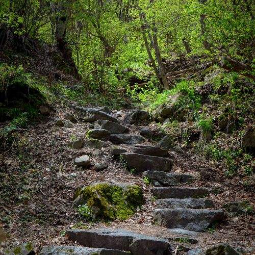 Photo #10341139